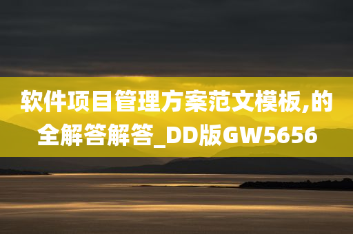 软件项目管理方案范文模板,的全解答解答_DD版GW5656