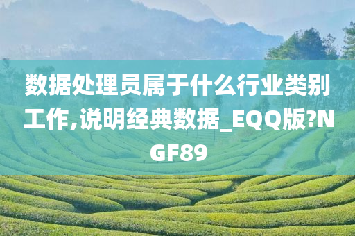 数据处理员属于什么行业类别工作,说明经典数据_EQQ版?NGF89