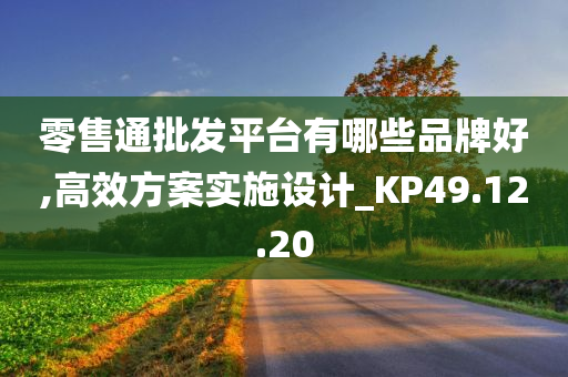 零售通批发平台有哪些品牌好,高效方案实施设计_KP49.12.20