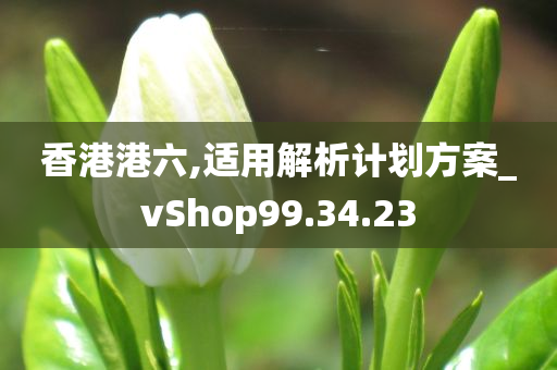 香港港六,适用解析计划方案_vShop99.34.23