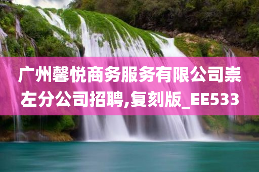 广州馨悦商务服务有限公司崇左分公司招聘,复刻版_EE533