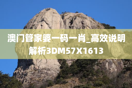 澳门管家婆一码一肖_高效说明解析3DM57X1613