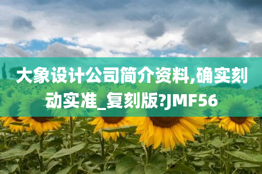 大象设计公司简介资料,确实刻动实准_复刻版?JMF56