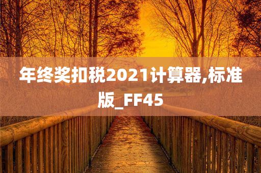 年终奖扣税2021计算器,标准版_FF45