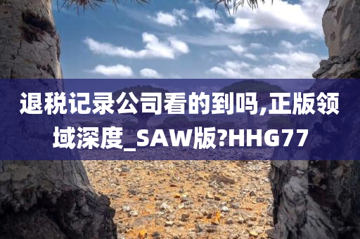 退税记录公司看的到吗,正版领域深度_SAW版?HHG77