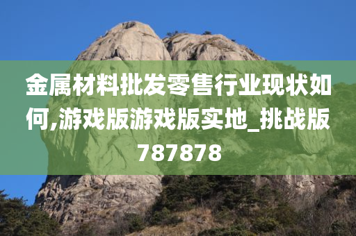 金属材料批发零售行业现状如何,游戏版游戏版实地_挑战版787878