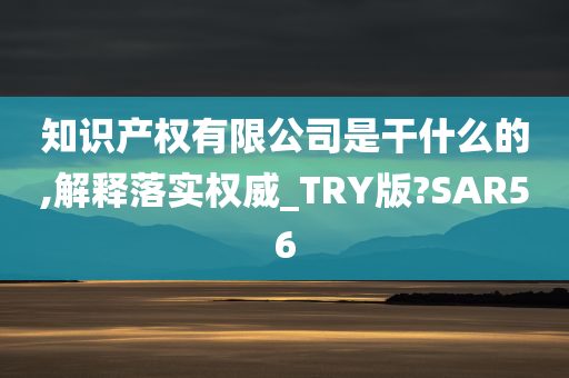 知识产权有限公司是干什么的,解释落实权威_TRY版?SAR56