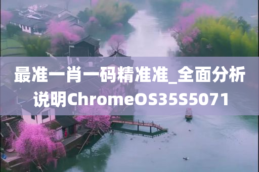 最准一肖一码精准准_全面分析说明ChromeOS35S5071