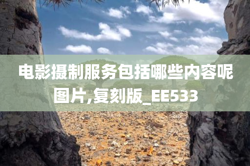 电影摄制服务包括哪些内容呢图片,复刻版_EE533