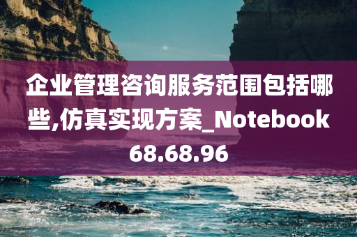 企业管理咨询服务范围包括哪些,仿真实现方案_Notebook68.68.96