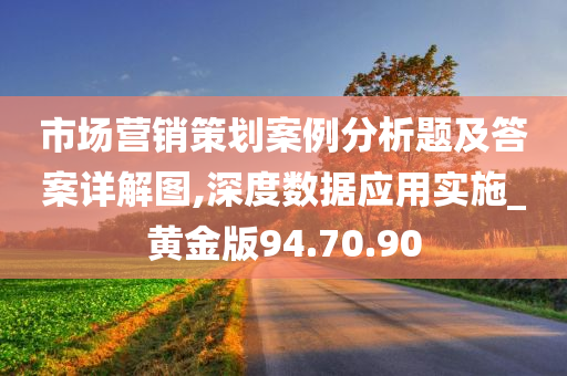 市场营销策划案例分析题及答案详解图,深度数据应用实施_黄金版94.70.90