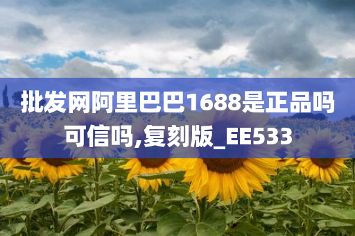 批发网阿里巴巴1688是正品吗可信吗,复刻版_EE533