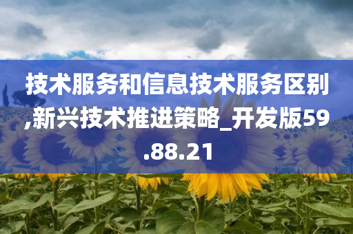 技术服务和信息技术服务区别,新兴技术推进策略_开发版59.88.21