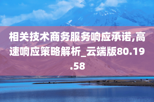 相关技术商务服务响应承诺,高速响应策略解析_云端版80.19.58