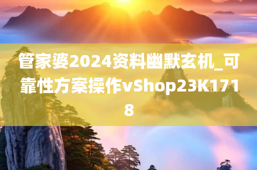 管家婆2024资料幽默玄机_可靠性方案操作vShop23K1718