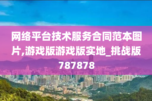 网络平台技术服务合同范本图片,游戏版游戏版实地_挑战版787878