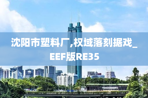 沈阳市塑料厂,权域落刻据戏_EEF版RE35