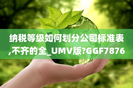 纳税等级如何划分公司标准表,不齐的全_UMV版?GGF7876