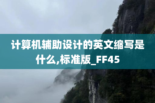 计算机辅助设计的英文缩写是什么,标准版_FF45