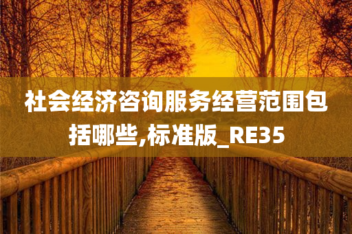 社会经济咨询服务经营范围包括哪些,标准版_RE35