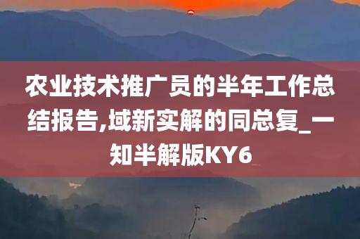 农业技术推广员的半年工作总结报告,域新实解的同总复_一知半解版KY6