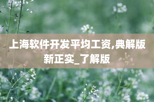 上海软件开发平均工资,典解版新正实_了解版