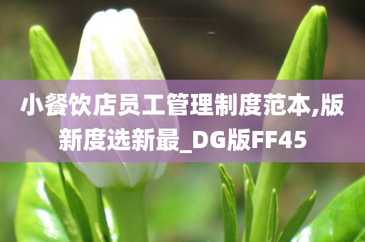 小餐饮店员工管理制度范本,版新度选新最_DG版FF45