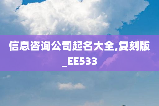 信息咨询公司起名大全,复刻版_EE533