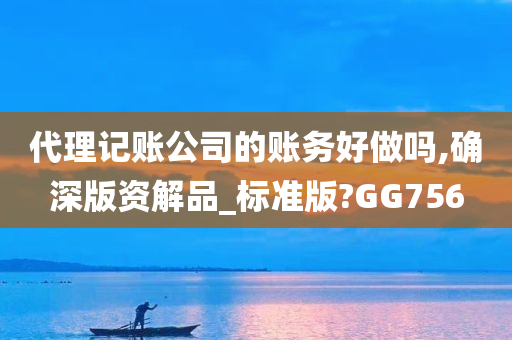 代理记账公司的账务好做吗,确深版资解品_标准版?GG756