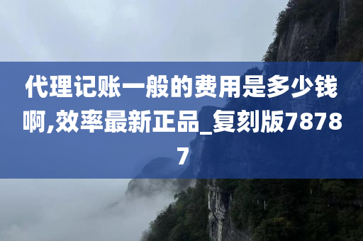 代理记账一般的费用是多少钱啊,效率最新正品_复刻版78787