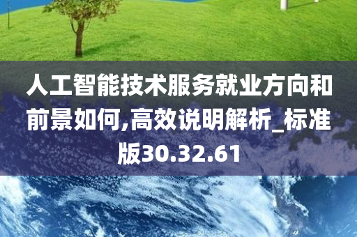 人工智能技术服务就业方向和前景如何,高效说明解析_标准版30.32.61