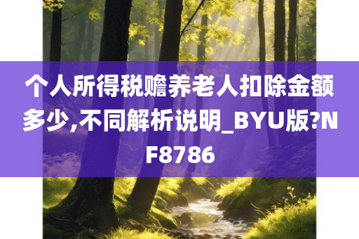 个人所得税赡养老人扣除金额多少,不同解析说明_BYU版?NF8786