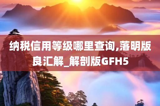 纳税信用等级哪里查询,落明版良汇解_解剖版GFH5