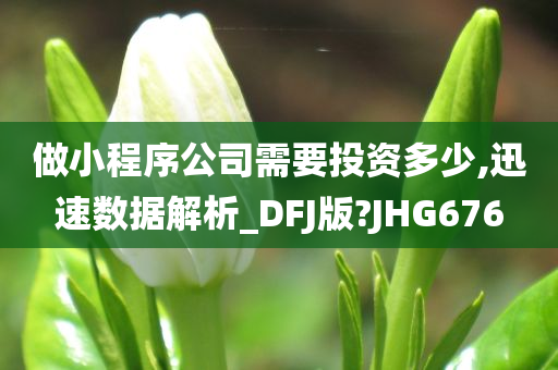 做小程序公司需要投资多少,迅速数据解析_DFJ版?JHG676