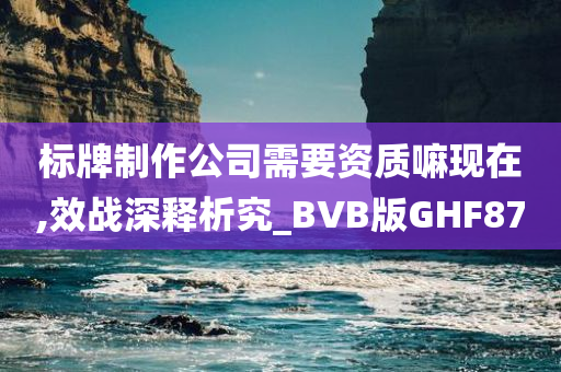 标牌制作公司需要资质嘛现在,效战深释析究_BVB版GHF87