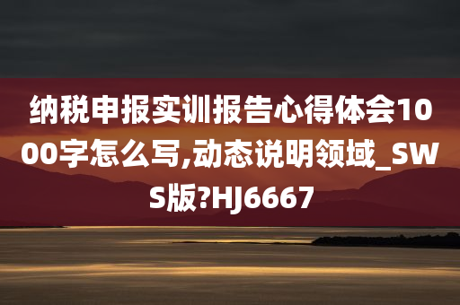 纳税申报实训报告心得体会1000字怎么写,动态说明领域_SWS版?HJ6667