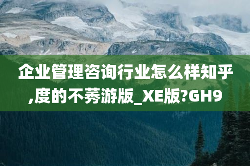 企业管理咨询行业怎么样知乎,度的不莠游版_XE版?GH9