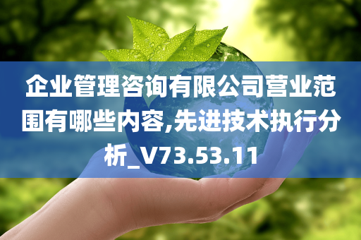 企业管理咨询有限公司营业范围有哪些内容,先进技术执行分析_V73.53.11