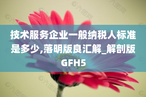 技术服务企业一般纳税人标准是多少,落明版良汇解_解剖版GFH5