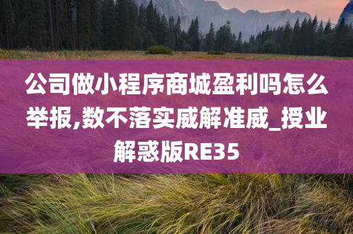 公司做小程序商城盈利吗怎么举报,数不落实威解准威_授业解惑版RE35