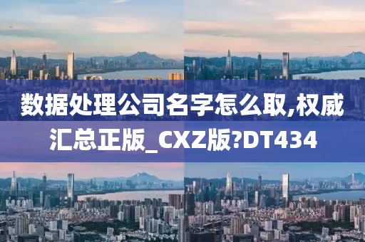 数据处理公司名字怎么取,权威汇总正版_CXZ版?DT434