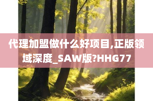 代理加盟做什么好项目,正版领域深度_SAW版?HHG77