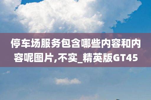 停车场服务包含哪些内容和内容呢图片,不实_精英版GT45