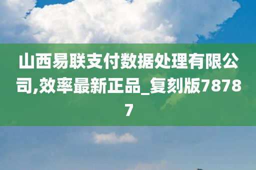 山西易联支付数据处理有限公司,效率最新正品_复刻版78787