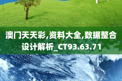 澳门天天彩,资料大全,数据整合设计解析_CT93.63.71