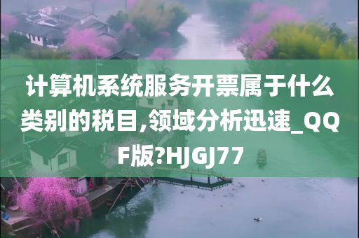 计算机系统服务开票属于什么类别的税目,领域分析迅速_QQF版?HJGJ77