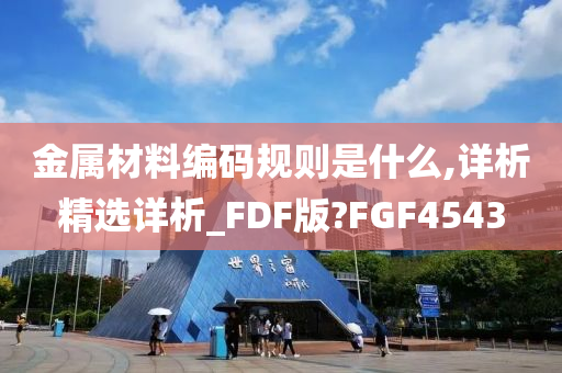 金属材料编码规则是什么,详析精选详析_FDF版?FGF4543