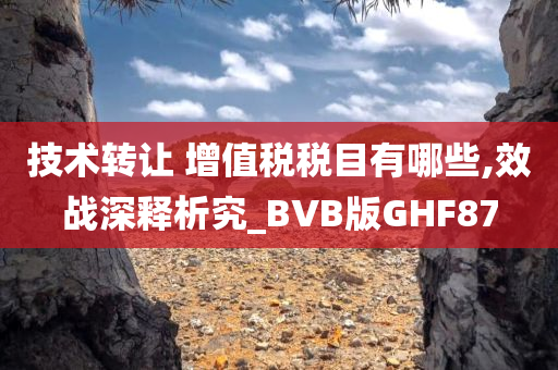 技术转让 增值税税目有哪些,效战深释析究_BVB版GHF87