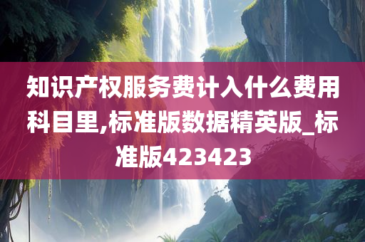 知识产权服务费计入什么费用科目里,标准版数据精英版_标准版423423