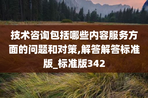 技术咨询包括哪些内容服务方面的问题和对策,解答解答标准版_标准版342